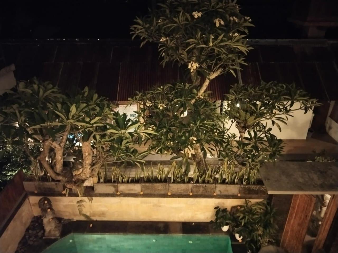 Danu House Ubud Bilik gambar
